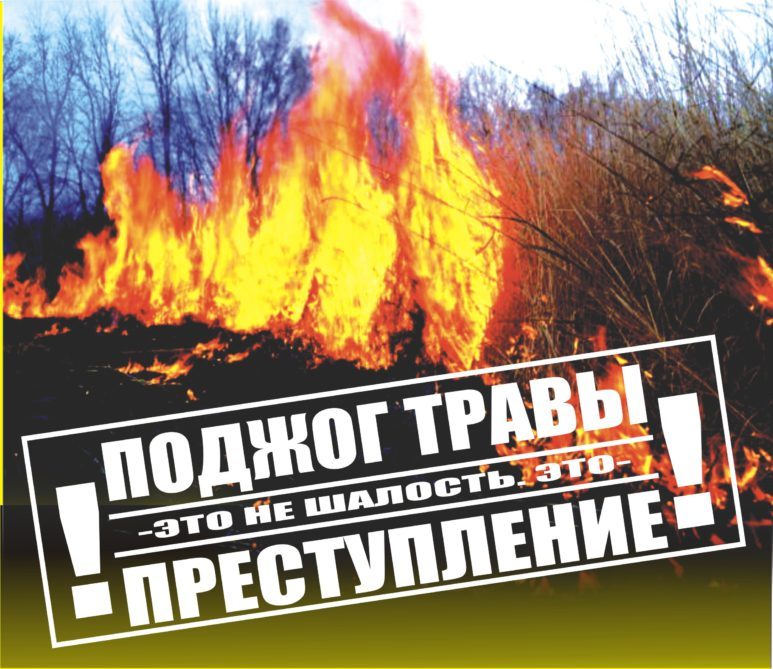 Пал травы - это не шалость, а преступление!!!.