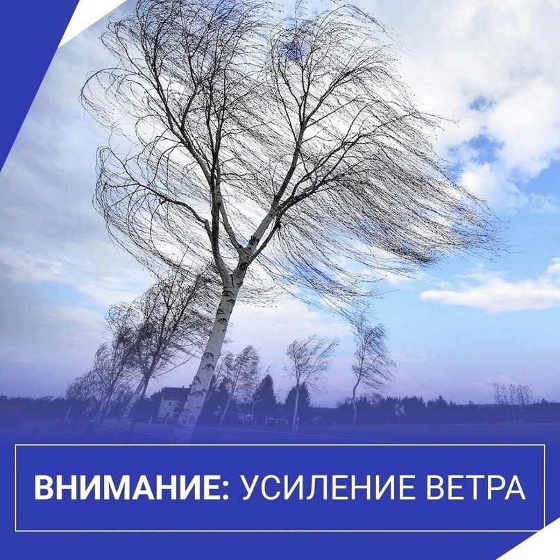 Ожидается усиление ветра порывами до 15-17 м/с..