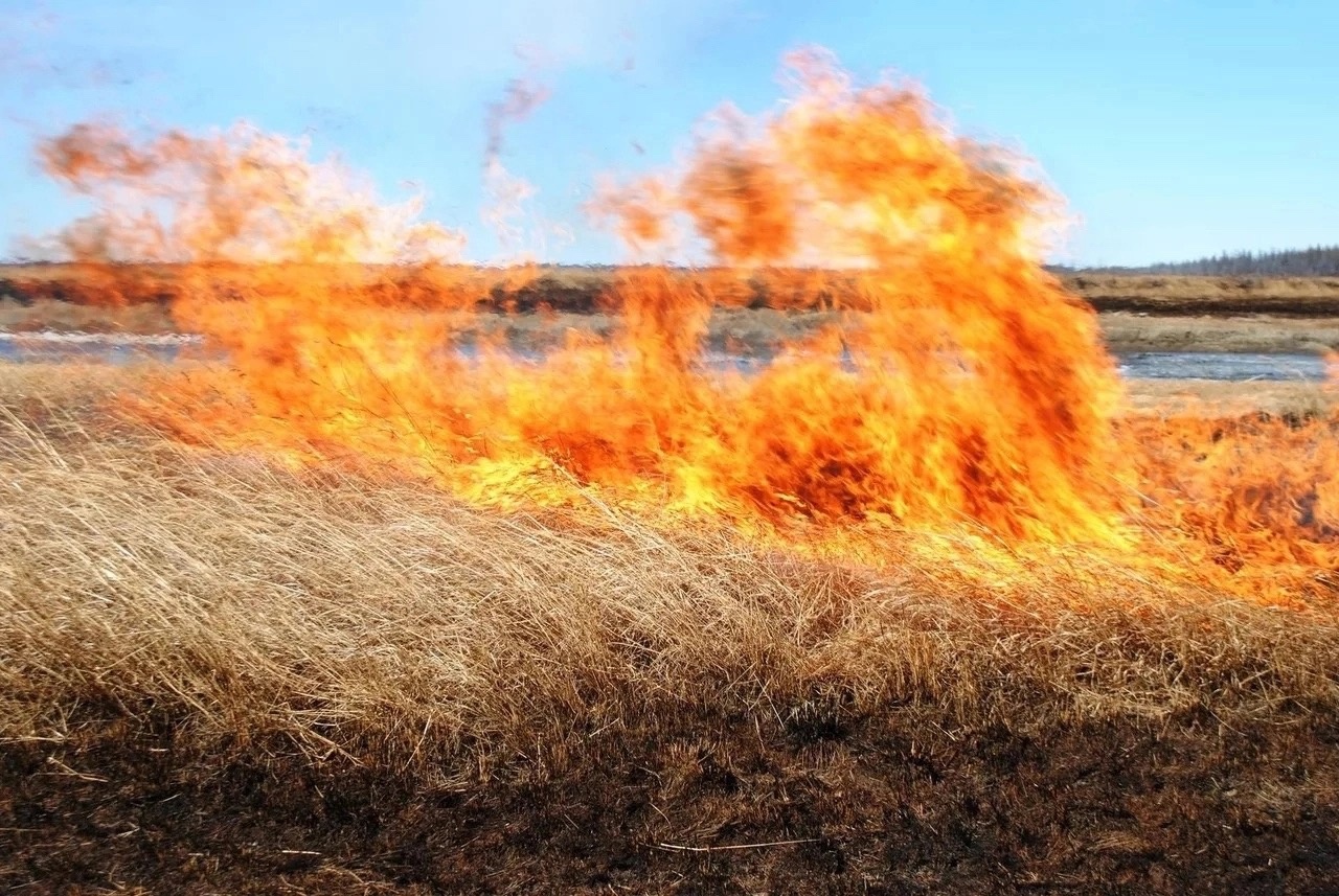 Опасность пожаров от травяных палов и неконтролируемого разведения костров сохраняется.