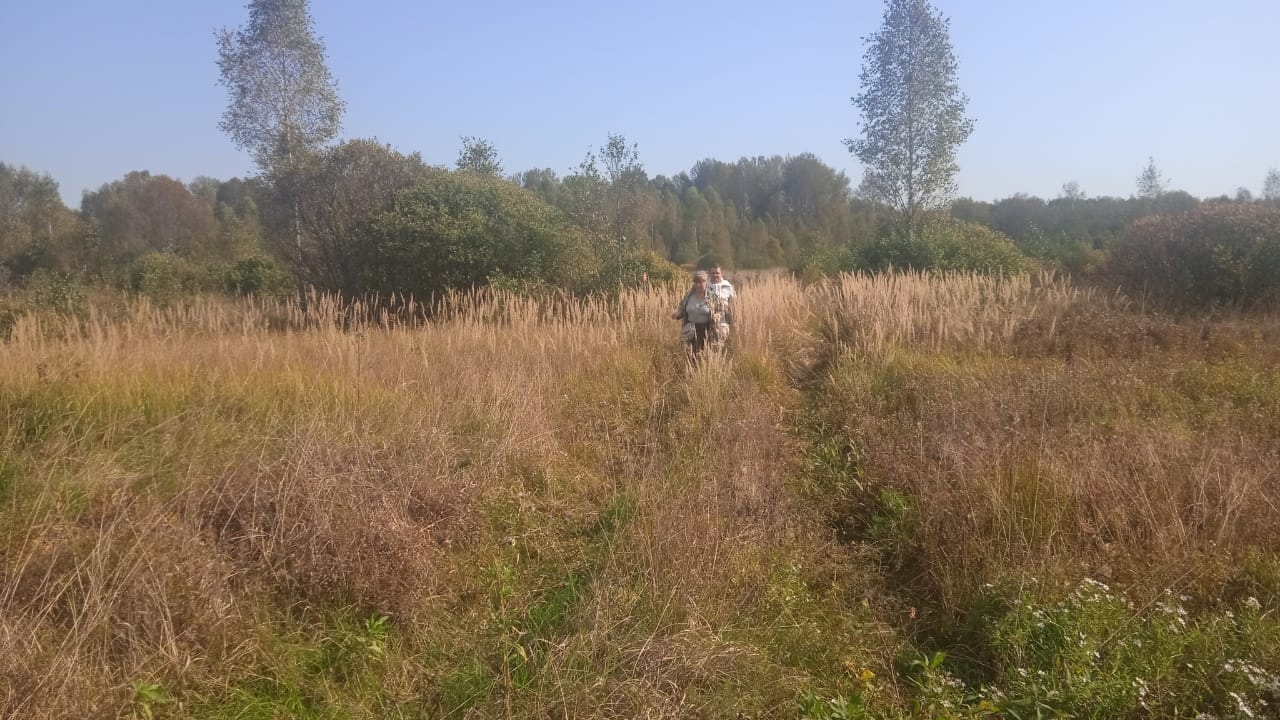 Как много тех, кто не вернулся домой, к родным, с Великой Отечественной войны..