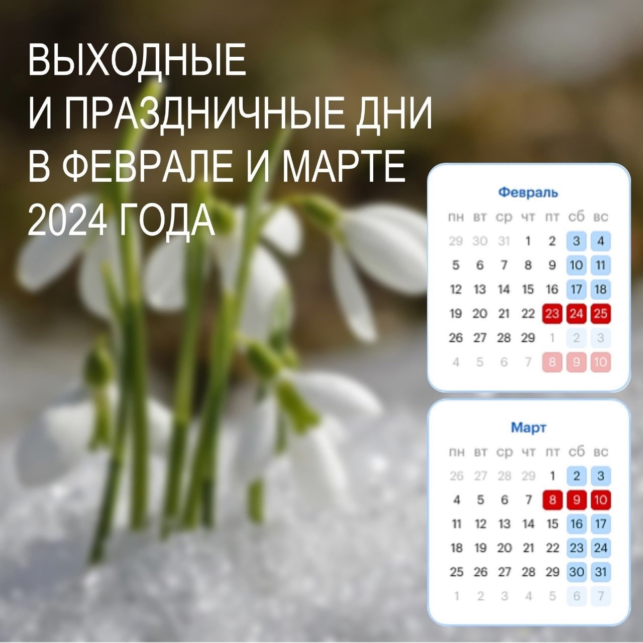 Выходные в феврале и марте 2024 года.